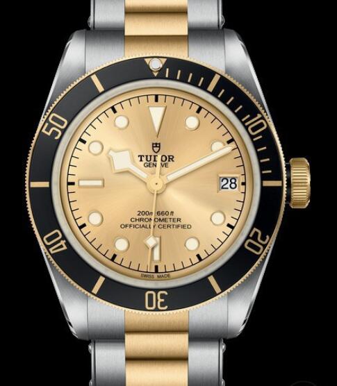 Replica Tudor Watch Heritage Black Bay Black S&G 79733N-0004