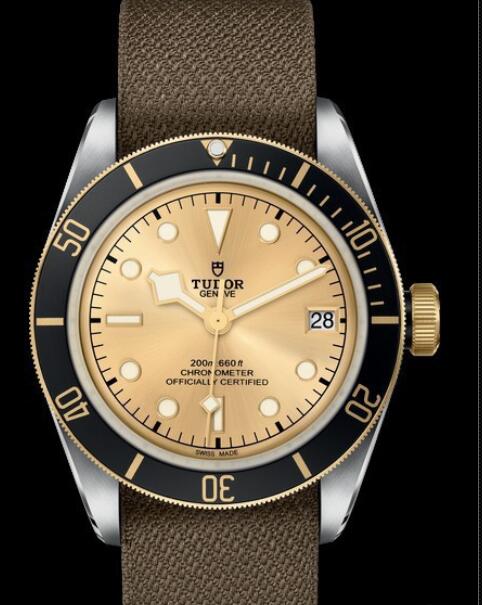 Replica Tudor Watch Heritage Black Bay Black S&G 79733N-0006