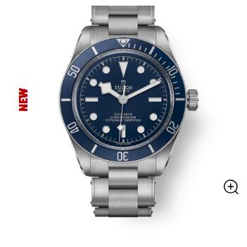 Replica Tudor Black Bay 58 Watch M79030b-0001